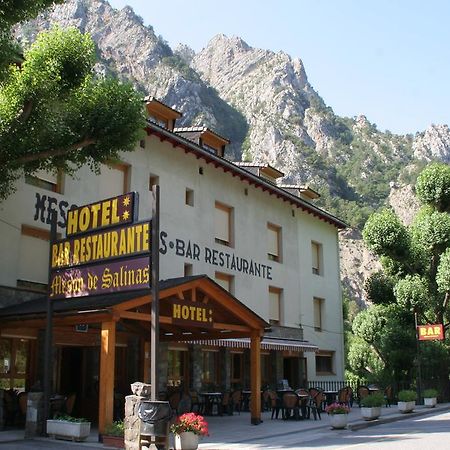 Meson De Salinas Hotel Salinas de Bielsa Екстериор снимка